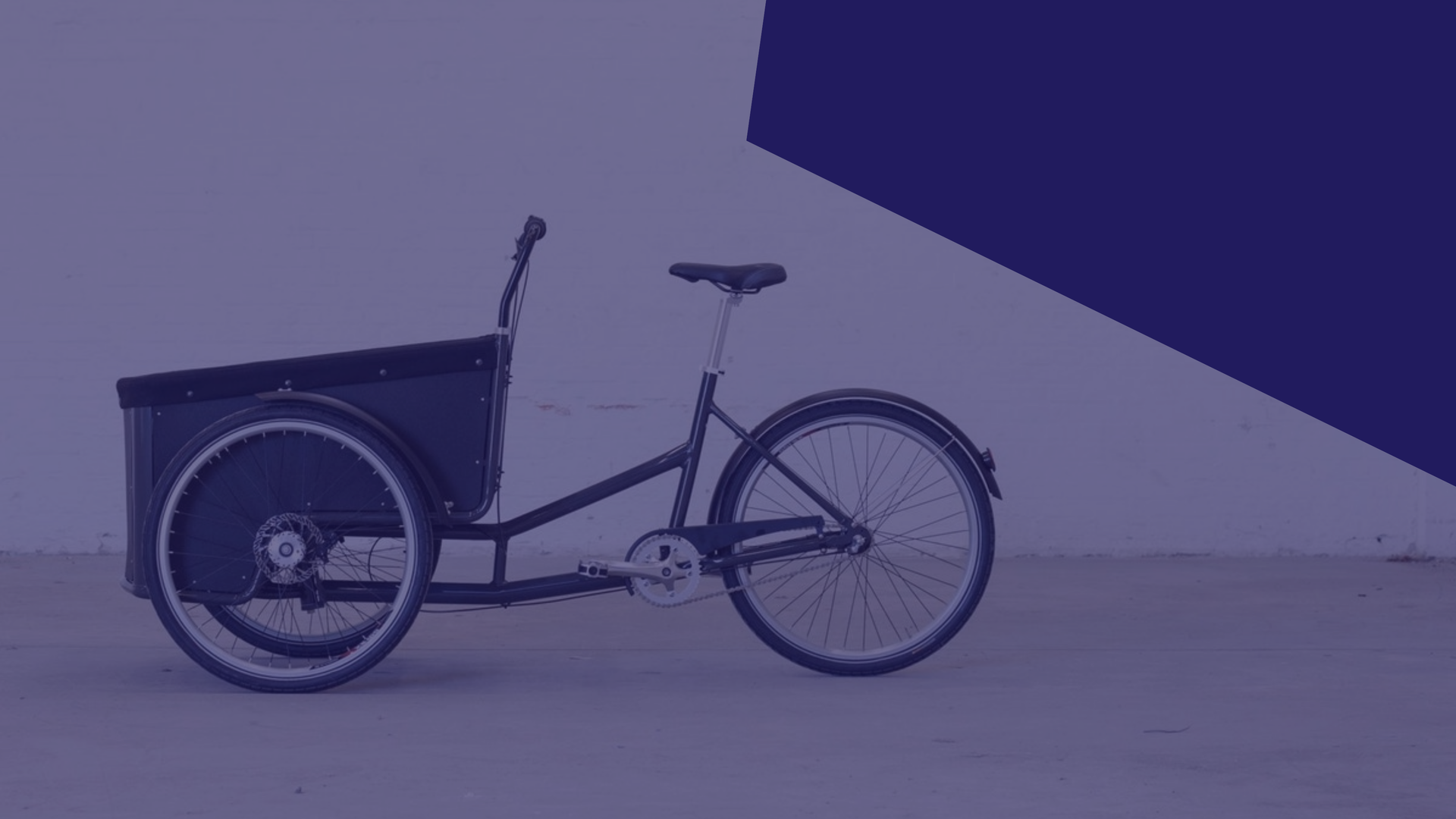 VCs in CEE 2019 - The scaleup journey
