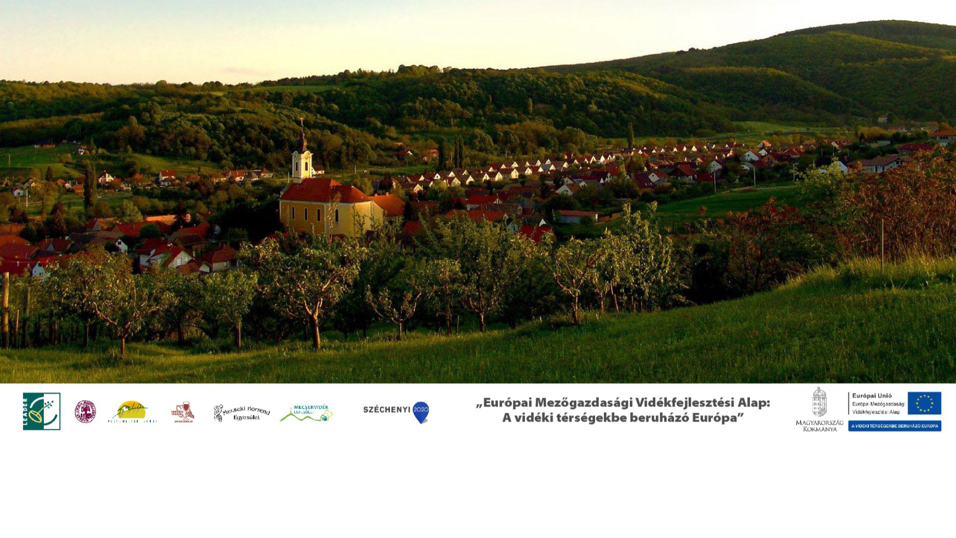 Mecseknádasdi Bor-Barangoló 2019